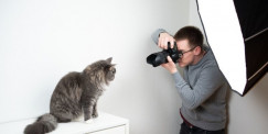 Pet Photography Explained